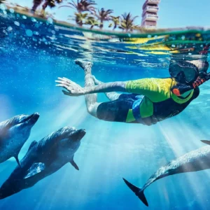 Atlantis Dolphin Bay