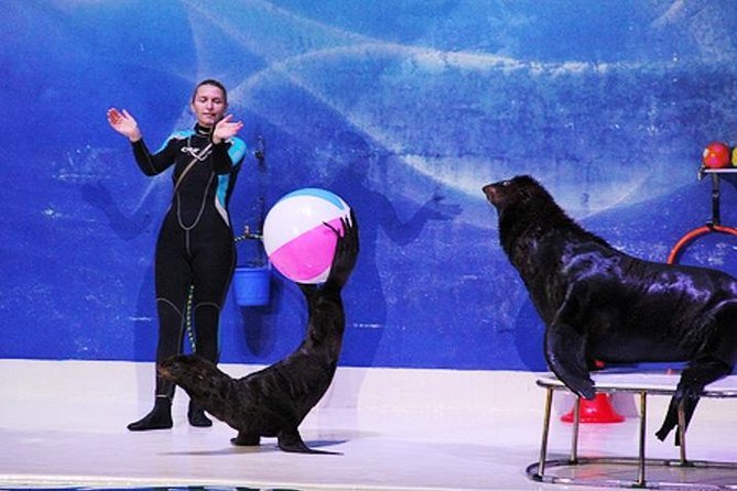 Dubai Dolphinarium - Image 4