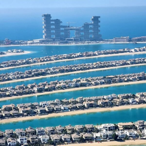 The View at The Palm - Image 3