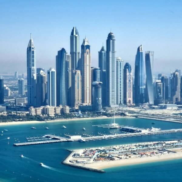 The View at The Palm - Image 4