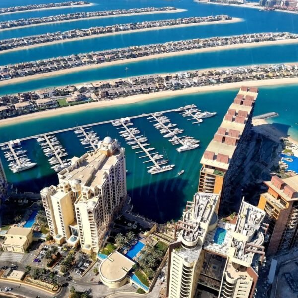 The View at The Palm - Image 5