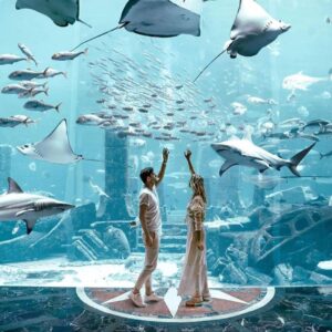 The Lost World Aquarium Tickets Dubai